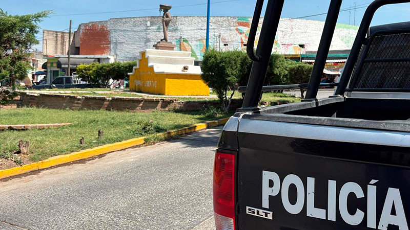 SSP y Defensa aseguran armamento en Buenavista, Michoacán 