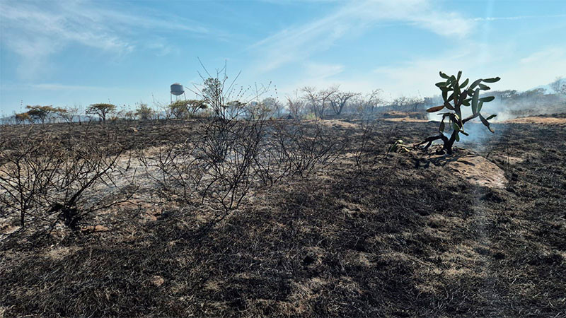  Controlado el incendio en la loma de Santa María, en Morelia: Cofom 