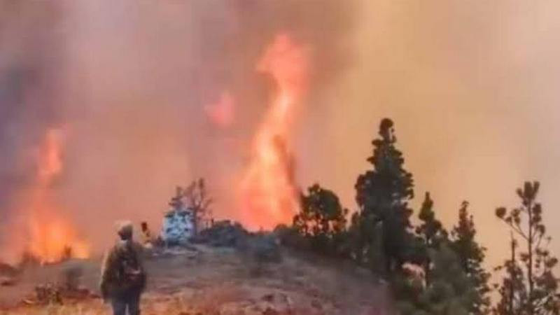 Muere padre de familia junto a sus dos hijos en combate a incendio forestal en Oaxaca 
