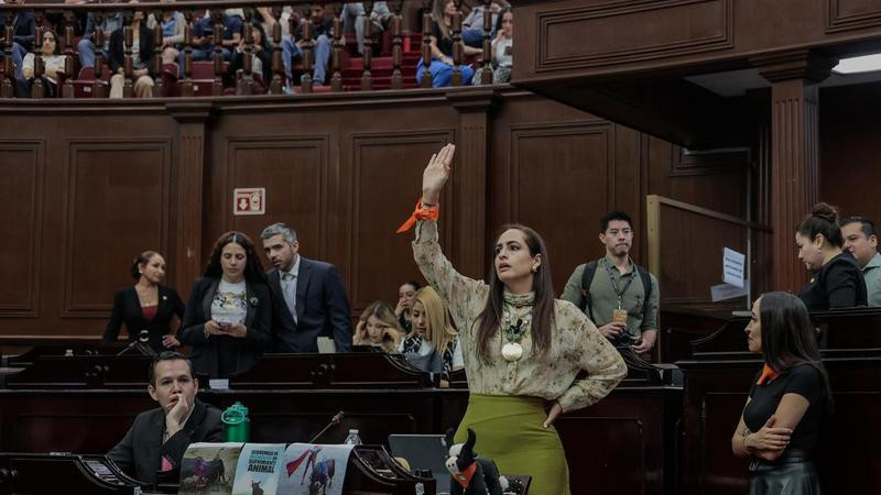 Grupo Parlamentario del Verde llama a participar en el Parlamento Abierto de Liderazgo Ambiental 2025 