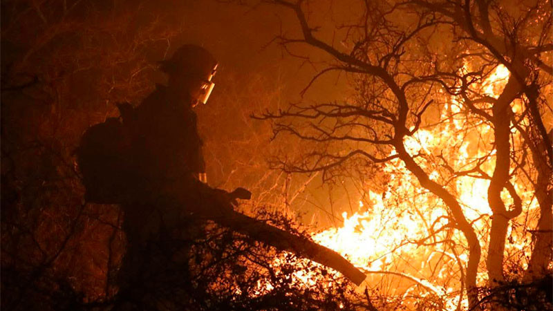 Afectadas más de 530 hectáreas por incendio en El Marqués, Querétaro  