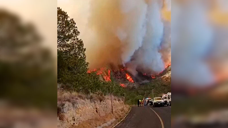 Van más de 200 hectáreas afectadas por incendio en Tlaxcala 