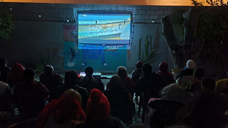 Estados fronterizos y costeros serán la última parada de la gira cultural de "El llanto de las tortugas" 
