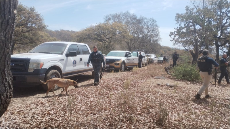 Fiscalía de Michoacán mantiene operativo tierra - aire, para localizar a normalista desaparecido 
