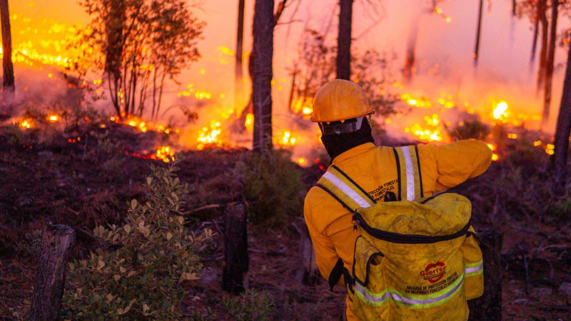Reportan 123 incendios forestales activos en el país; 33 en Áreas Naturales Protegidas 