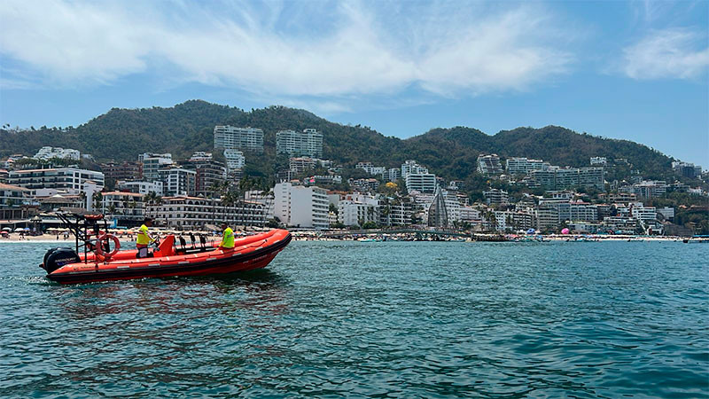 Detectan presencia de medusas en Playas de Puerto Vallarta 