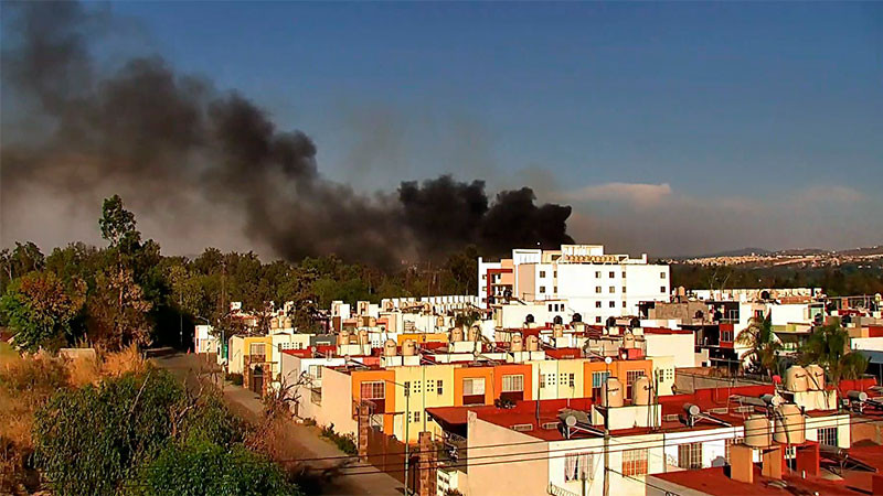 Brigadistas estatales y municipales atienden incendio forestal en Epitacio Huerta  