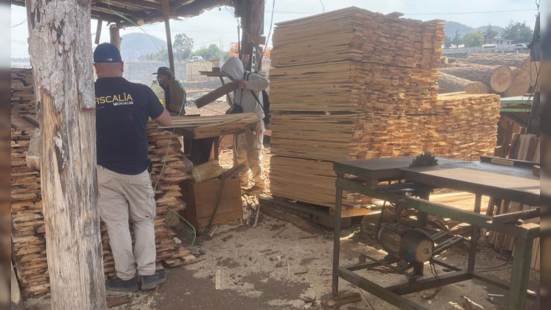 Catean aserradero ilegal en Irimbo, Michoacán 
