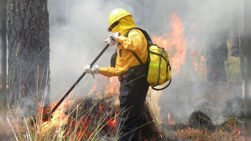 Van más de 2 mil incendios forestales con una superficie afectada de 216, 270 hectáreas en todo el país 