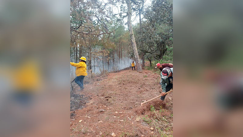 A través de Sello Querétaro, se compensaron 197 mil toneladas de gases de efecto invernadero en 2024 