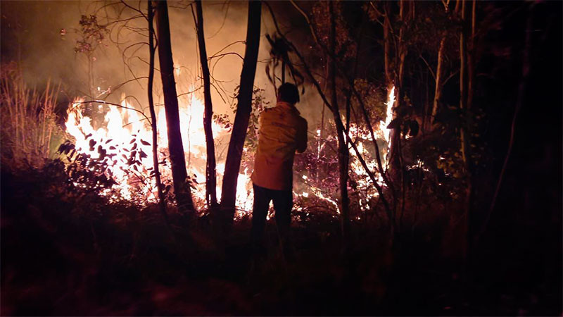 Atiende de manera inmediata Comisión Forestal incendio en Loma de Santa María  