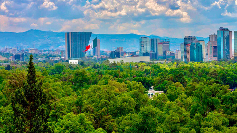 Urge actuar contra el cambio climático, deforestación y tráfico de vida silvestre: Mejía Berdeja 
