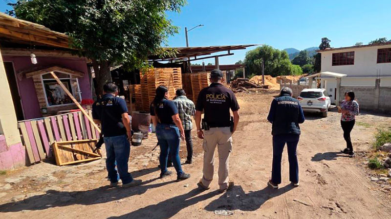 En Ocampo, Michoacán, asegura Fiscalía madera ilegal 