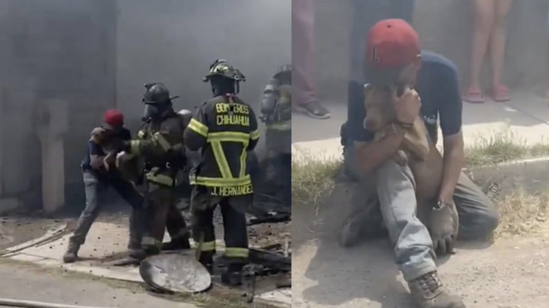 Bomberos se visten de héroes y salvan a perrito de morir en incendio de una casa en Chihuahua 
