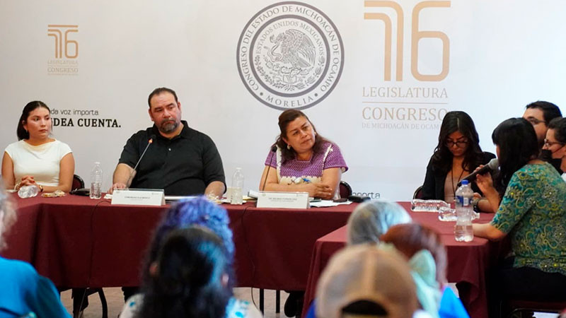 Belinda Iturbide trabaja en iniciativas de reforma de la mano de colectivos