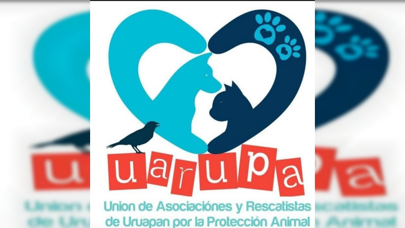 Indignación en Uruapan: hombre quita la vida a balazos a perro callejero; exigen a SSP capacitación urgente en crueldad animal 