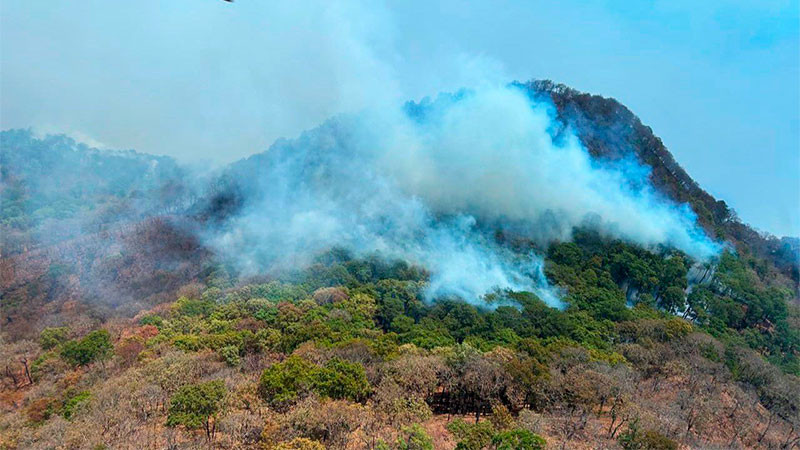 Brigadas continúan combatiendo incendio en Nocupétaro: Cofom 