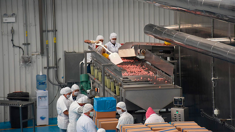 Más de 3 mdp en multas a empresas por no formalizar a trabajadores: Yunuén Mejía 