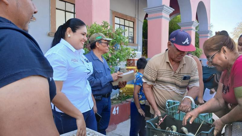 Ayuntamiento de Apatzingán realiza la segunda entrega de pollas de traspatio 