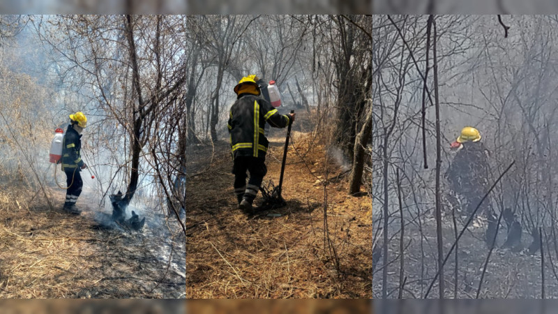 Controlan incendio forestal en Zitácuaro, Michoacán, y protegen viviendas cercanas 