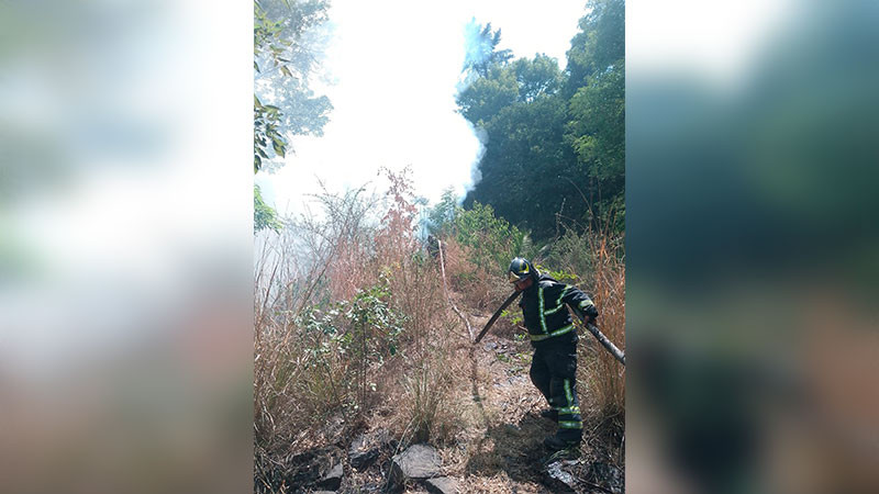 Incendio consume dos hectáreas en el Bosque de Chapultepec 