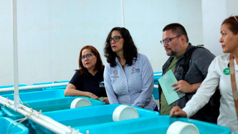 Pescado blanco obtendrá protección de indicación geográfica: ICTI 