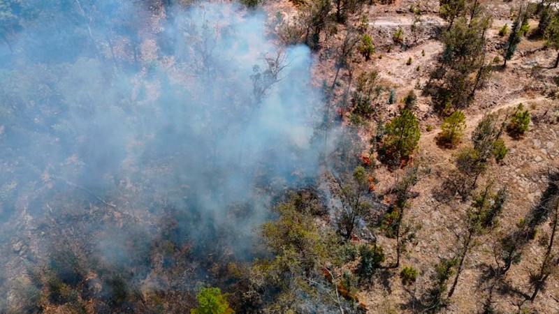 Apagan brigadas 14 incendios forestales en Michoacán: Cofom 