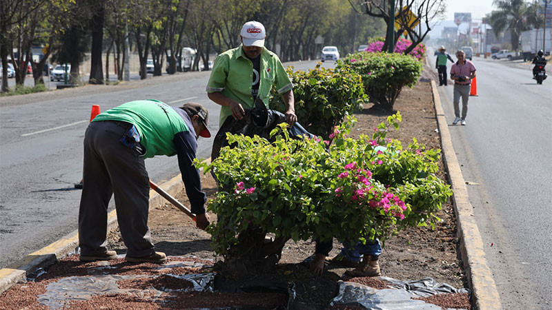  Gobierno de Morelia sigue embelleciendo las áreas verdes de la ciudad 