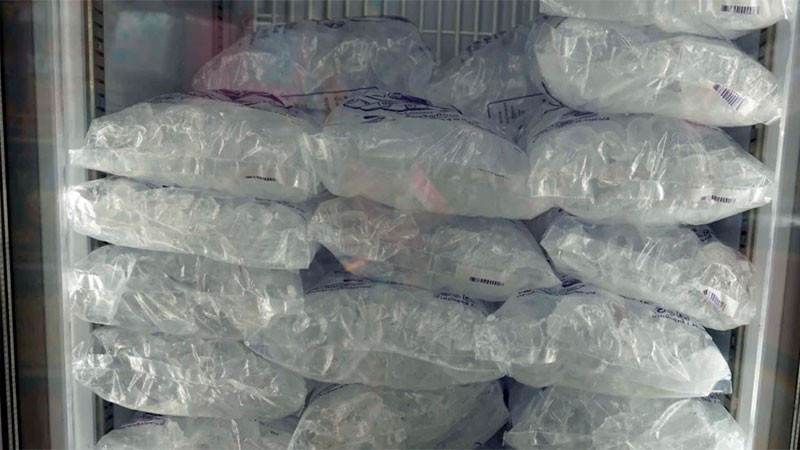 Estarán más preparados los productores de hielo, para evitar la escasez en Querétaro: Lorena Muñoz  