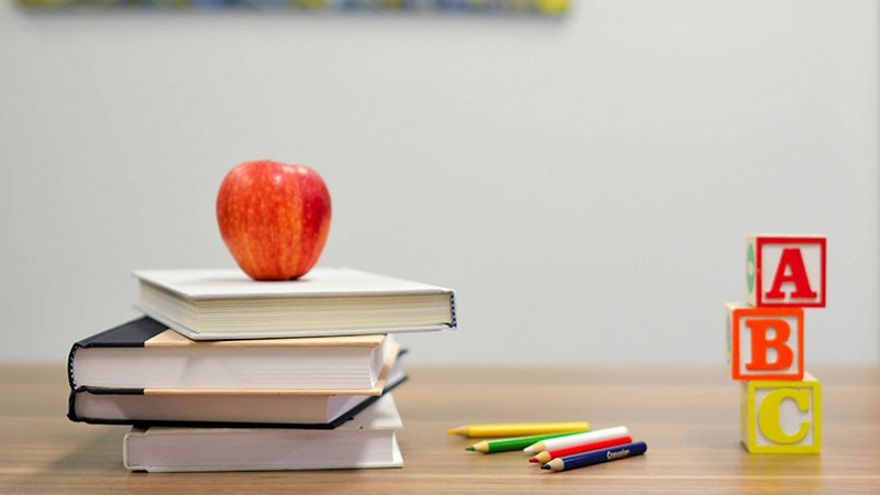 MEJOREDU publicó el estudio la coordinación interestatal para la atención educativa de la niñez jornalera agrícola migrante 
