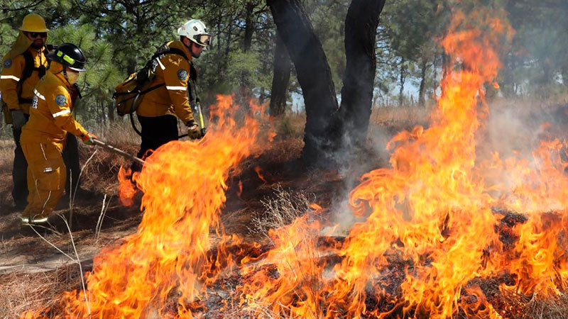En Michoacán fueron extinguidos 7 incendios forestales: Cofom 