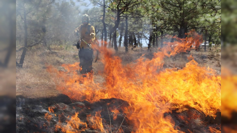 En Michoacán fueron extinguidos 7 incendios forestales: Cofom 