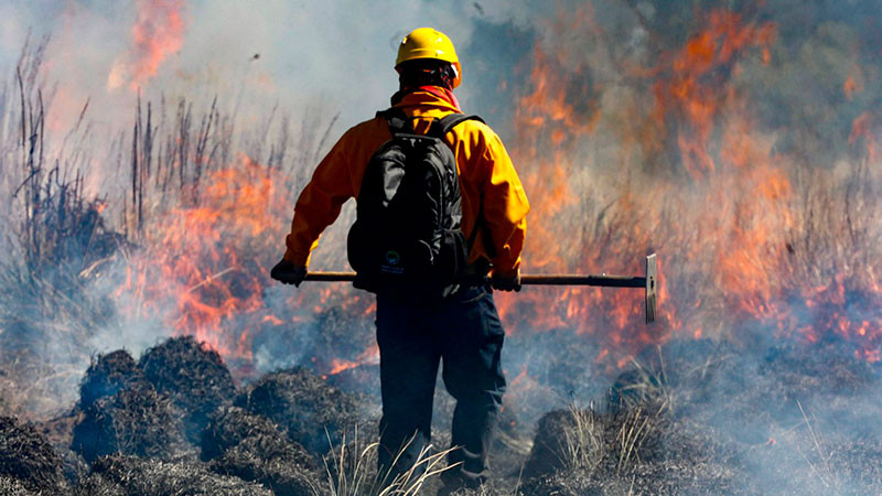 Más de 95 mil hectáreas afectadas por 99 Incendios forestales activos en México 