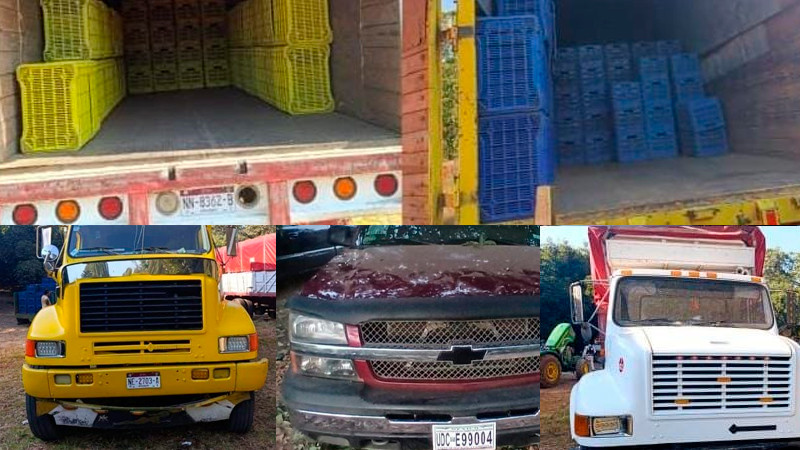 En Salvador Escalante, Michoacán detienen a 13 personas que robaban aguacate; aseguraron seis vehículos 