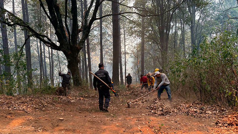 Incendio en Senguio, liquidado al 50 %: Cofom 