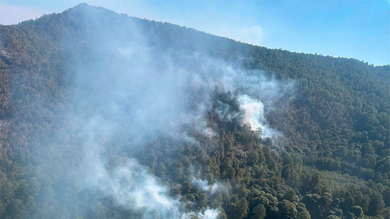 Controlado al 95% el incendio en el Santuario de la Monarca en Senguio, Michoacán: Cofom 
