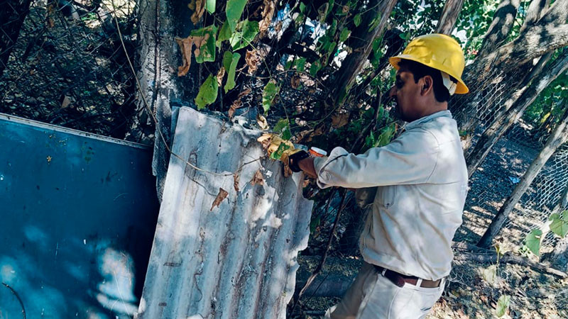 SSM te dice cómo detectar el dengue grave o hemorrágico 