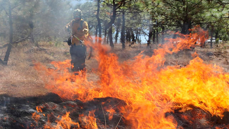  Brigadas atienden incendio en Cotija: Cofom 
