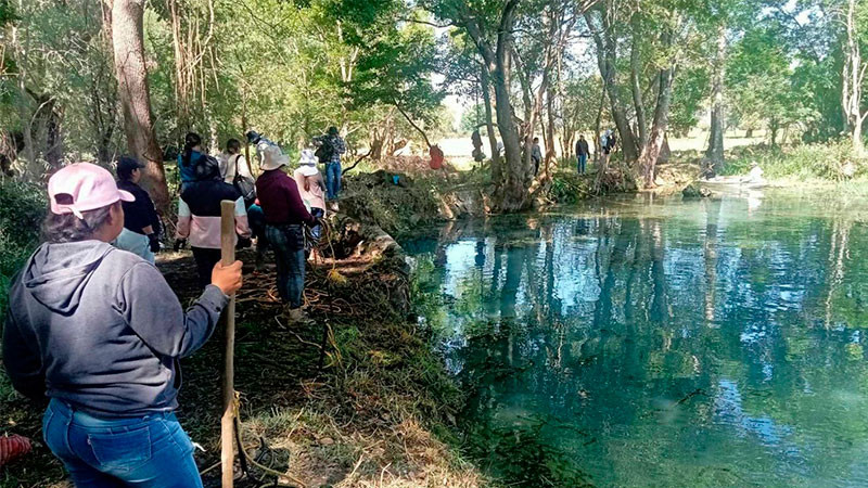 Empleos temporales impulsan el rescate del lago de Pátzcuaro 