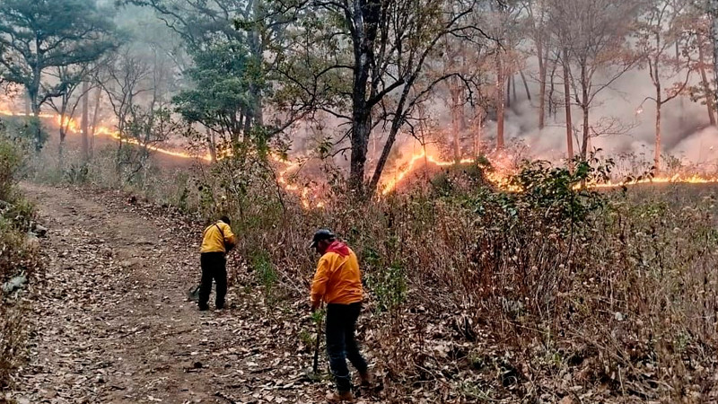 Brigadas atienden 3 incendios en Cotija, Maravatío y Tuxpan: Cofom 