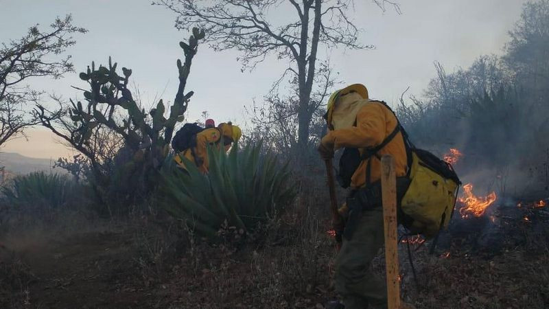 Brigadas forestales atienden 7 incendios y liquidan 2 más en Michoacán 