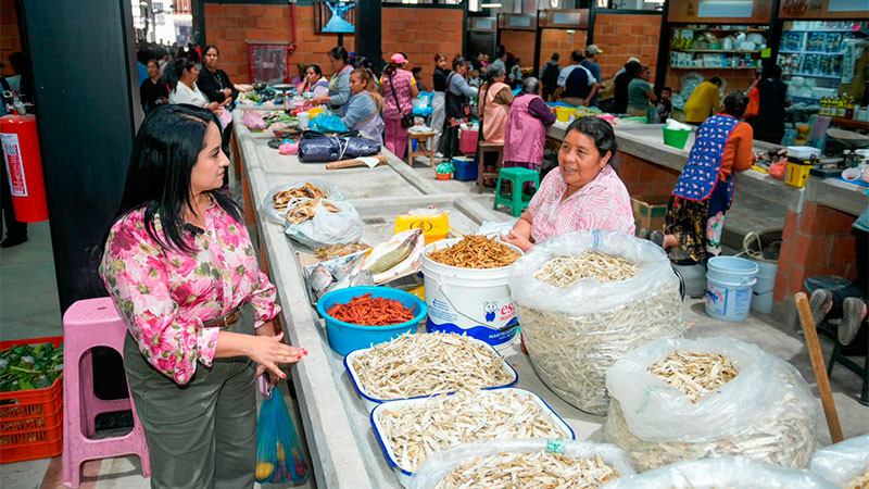 Modificaciones en locales del Mercado de Pátzcuaro no afectan estructura: Gladyz Butanda 