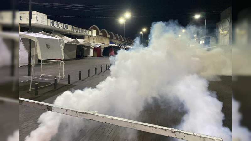 Gobierno de Morelia activó brigadas de fumigación  