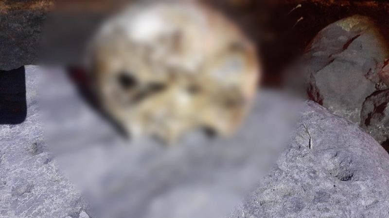 Hallan cráneo humano en Morelia, Michoacán