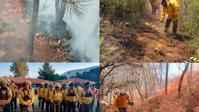 Liquidados 3 incendios en Aguililla, Lagunillas y Pátzcuaro: Cofom 