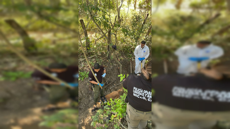 Hallan 3 cuerpos en fosa en Aquila, Michoacán: Serían de grupo de 7 desaparecidos tras irrupción de comando en agosto 