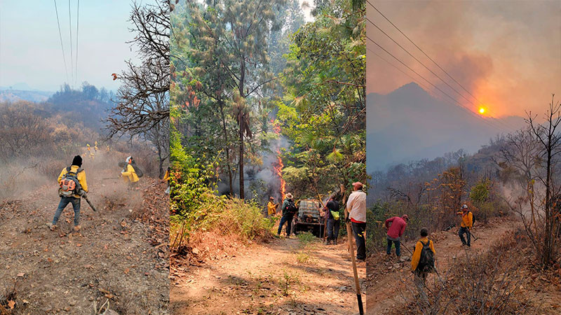 Brigadas de Cofom atienden incendio forestal en Tacámbaro 
