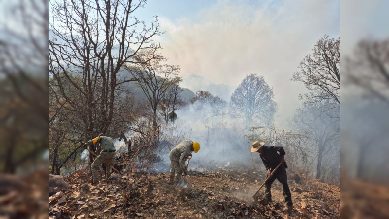 Brigadas forestales apagan 3 incendios en Hidalgo y Ocampo: Cofom 