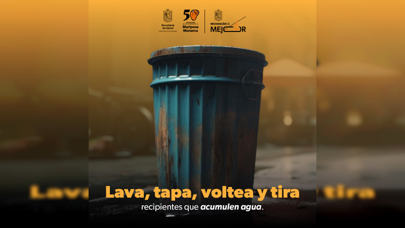 Participación comunitaria elemento primordial en el control del dengue: SSM  