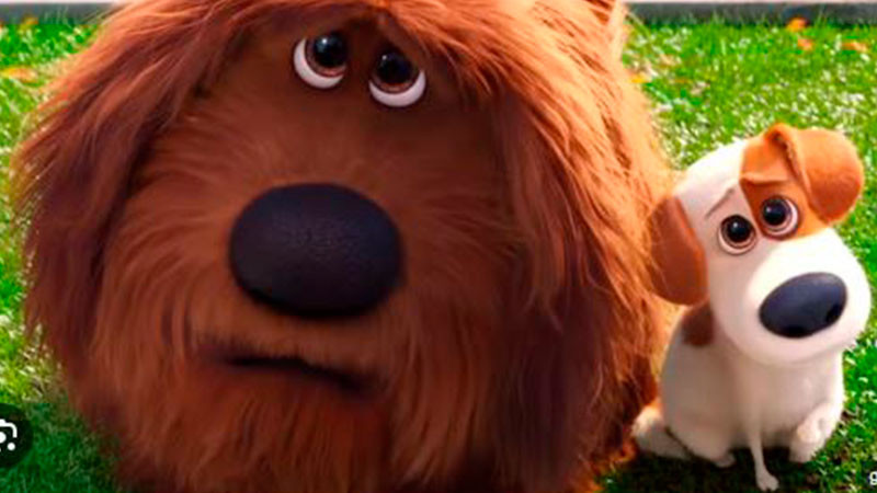 Películas de Disney impulsa la adopción, la ciudadanía el abandono: 90% de los animales acaba en las calles 